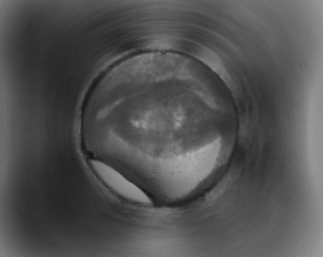 X0000089730992200707121446