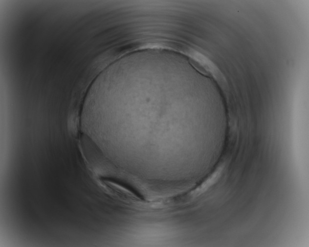 X0000089730993200707121446