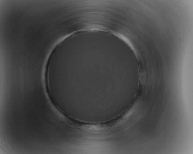 X0000089730995200707121446