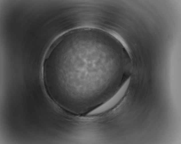 X0000089730996200707121446