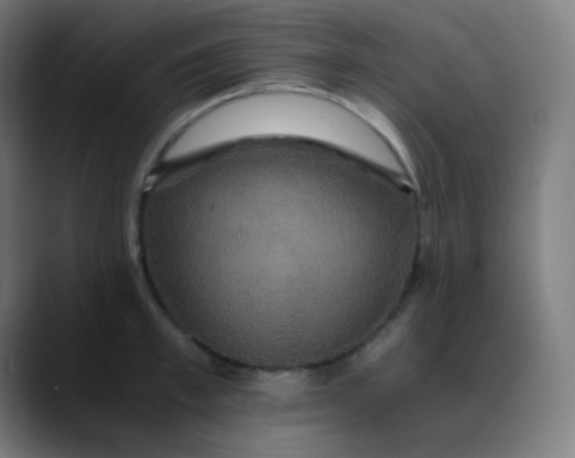 X0000089730997200707121446