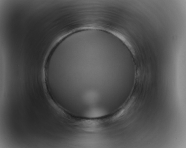 X0000089730998200707121446