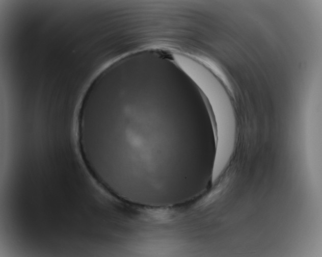 X0000089730999200707121446