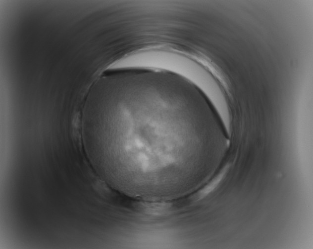 X0000089731001200707121446