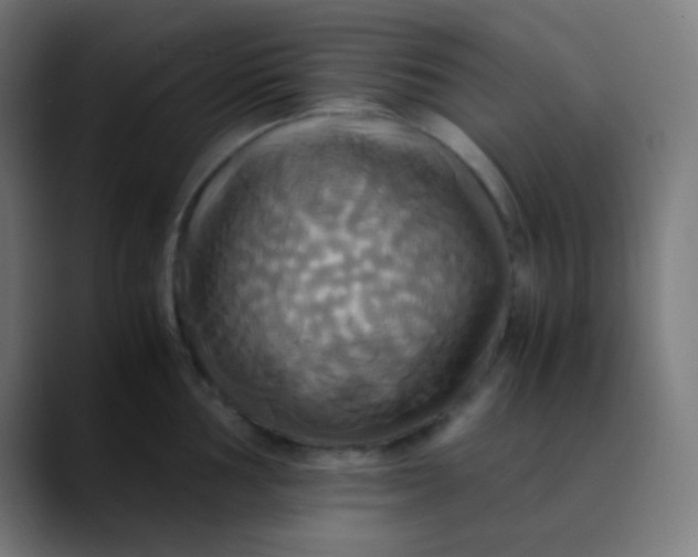 X0000089731002200707121446