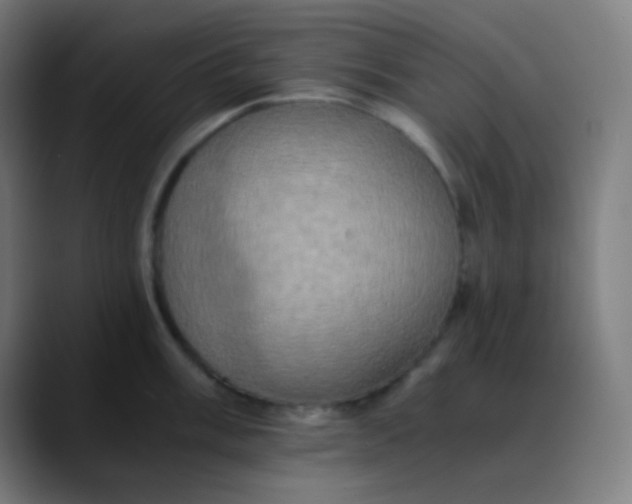 X0000089731003200707121446