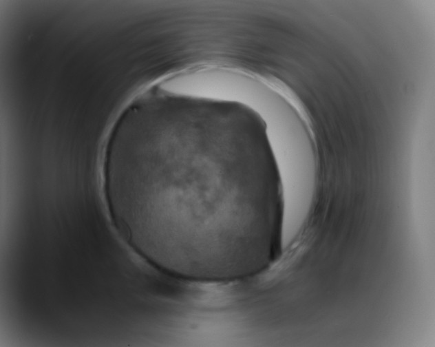 X0000089731005200707121446