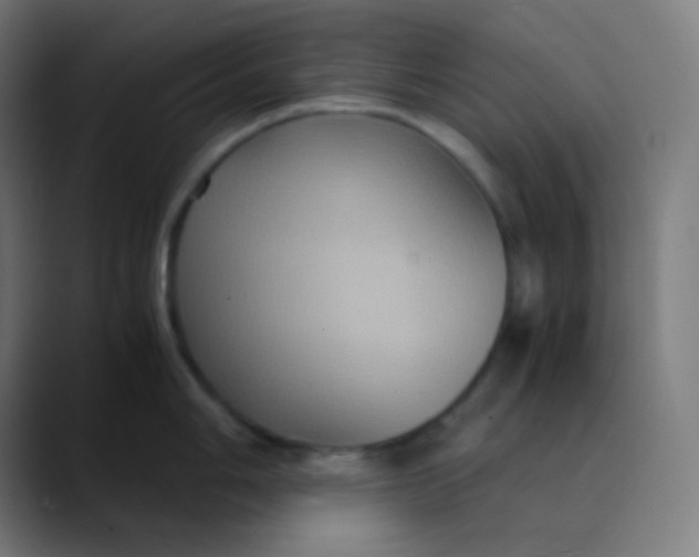 X0000089731006200707121446