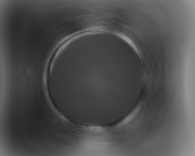 X0000089731007200707121446
