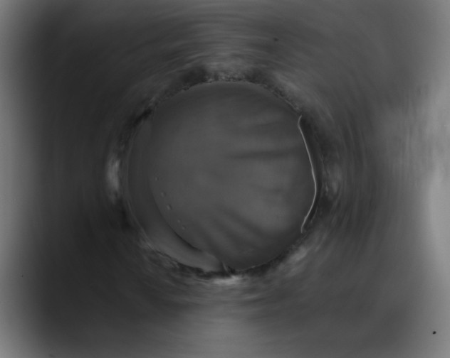 X0000089731010200707121445