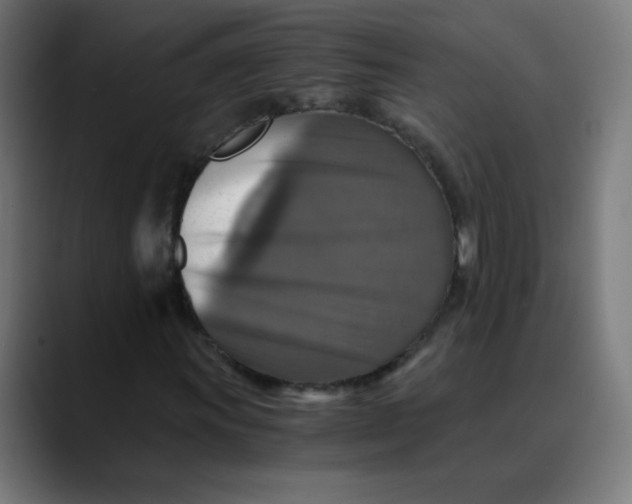 X0000089731011200707121445