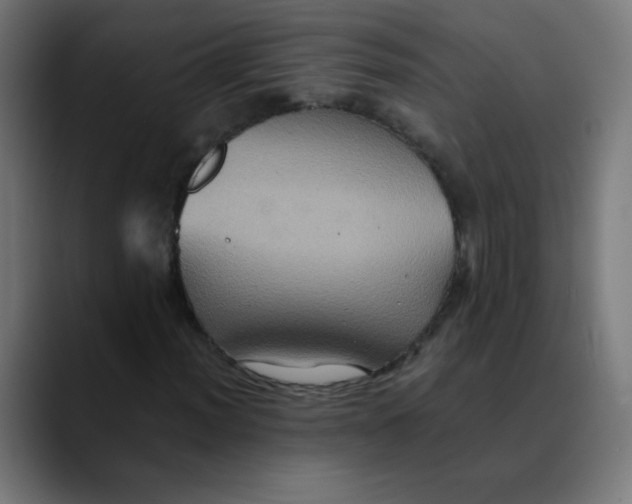 X0000089731012200707121445