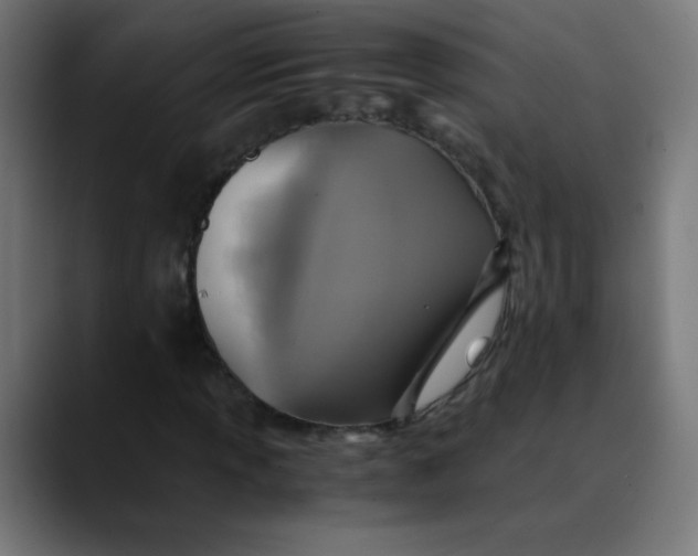 X0000089731013200707121445