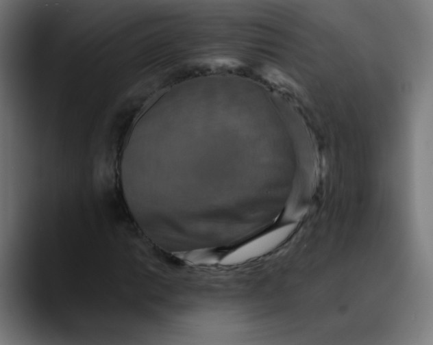X0000089731014200707121445