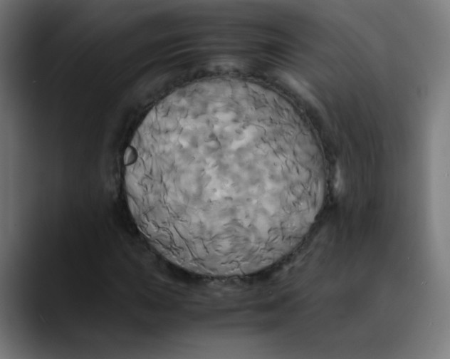X0000089731015200707121445
