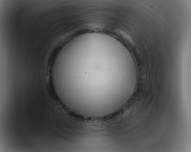 X0000089731016200707121445