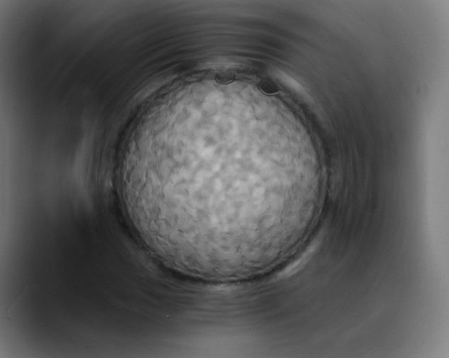 X0000089731017200707121445
