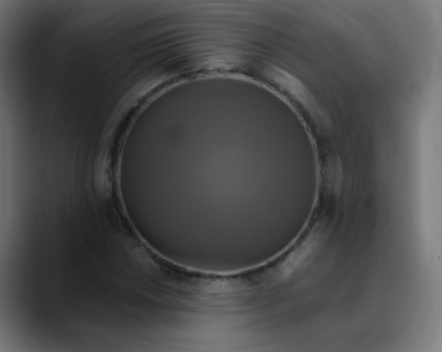 X0000089731018200707121445