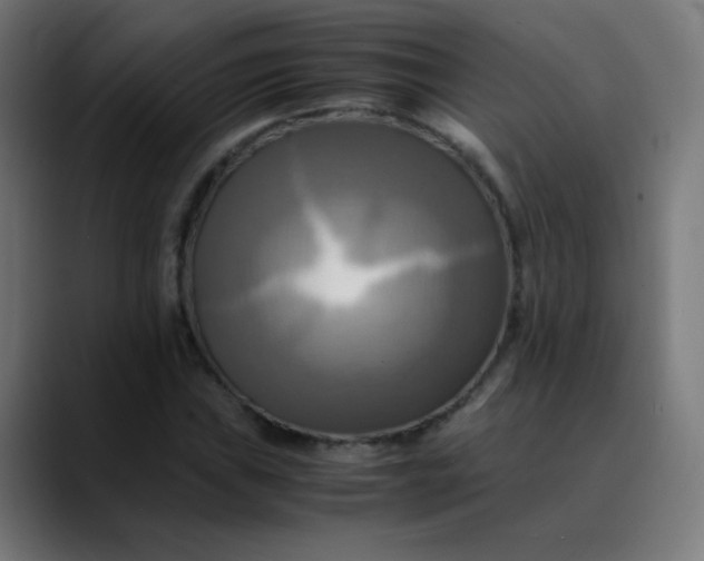 X0000089731019200707121445
