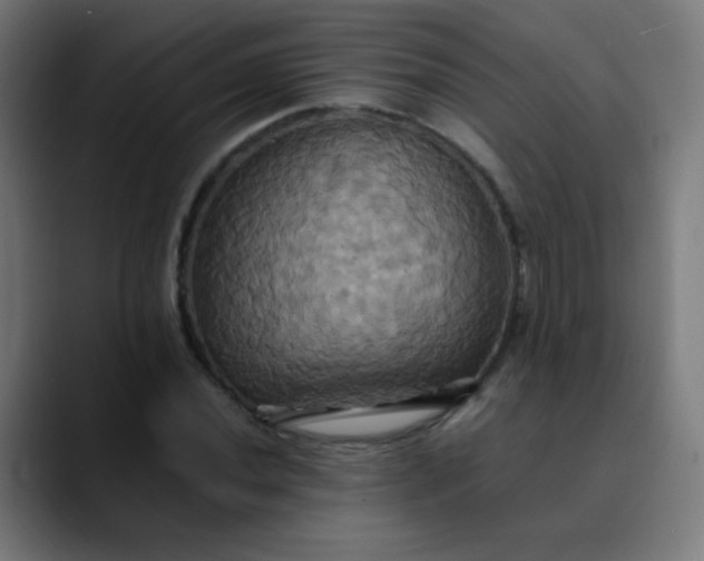 X0000089731020200707121445