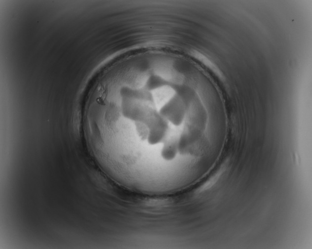 X0000089731021200707121445
