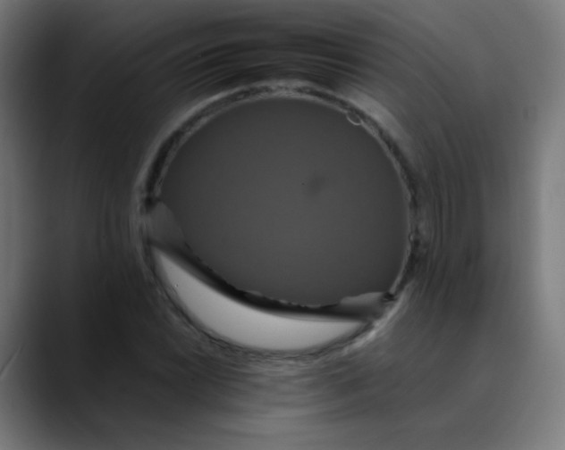 X0000089731022200707121445