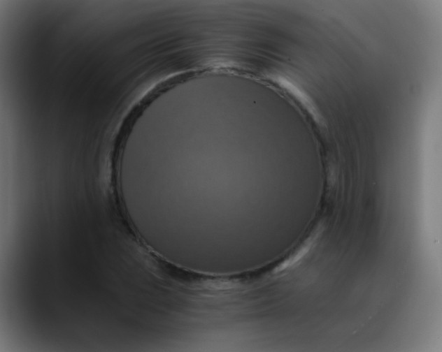 X0000089731023200707121445