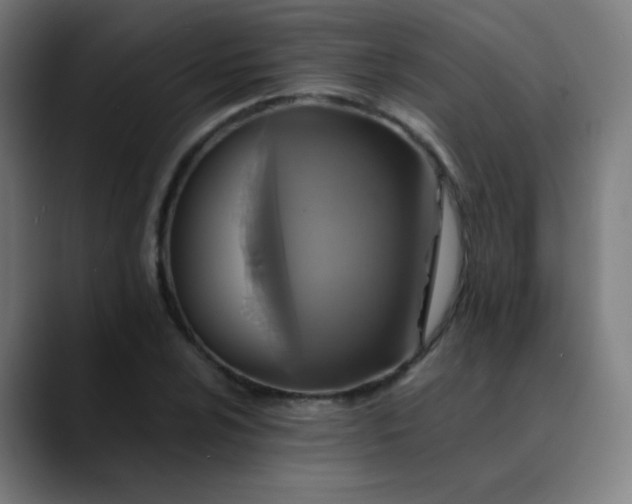 X0000089731024200707121445