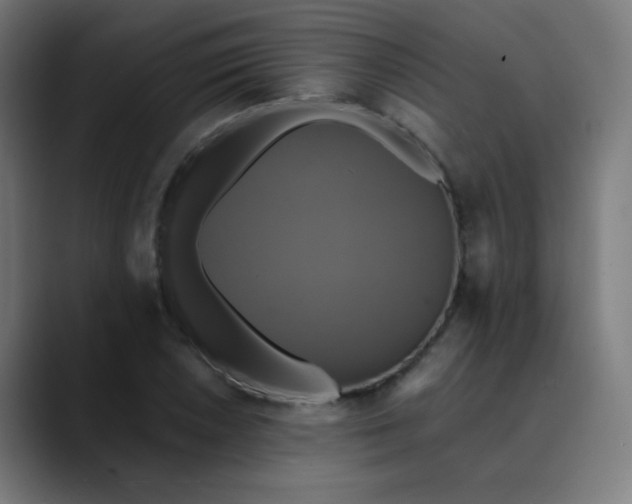 X0000089731026200707121445