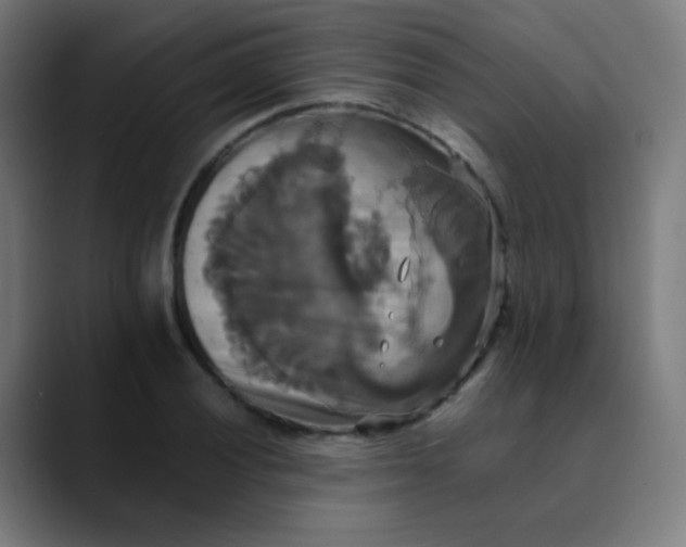 X0000089731028200707121445