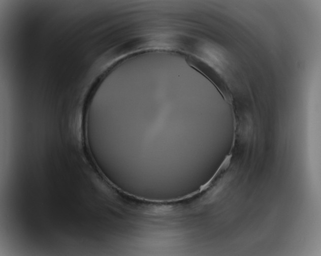 X0000089731030200707121445