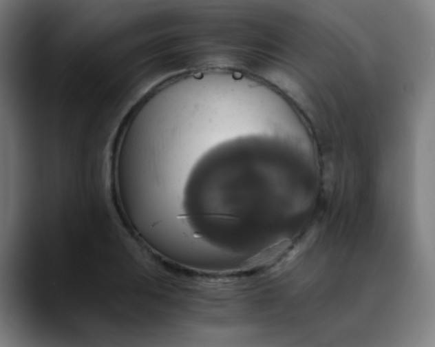 X0000089731031200707121445