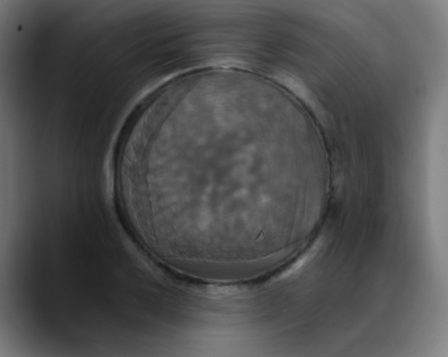 X0000089731032200707121445