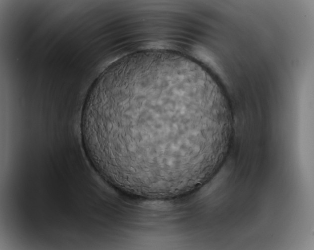 X0000089731033200707121445