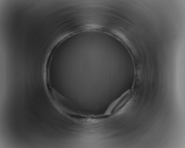 X0000089731034200707121445