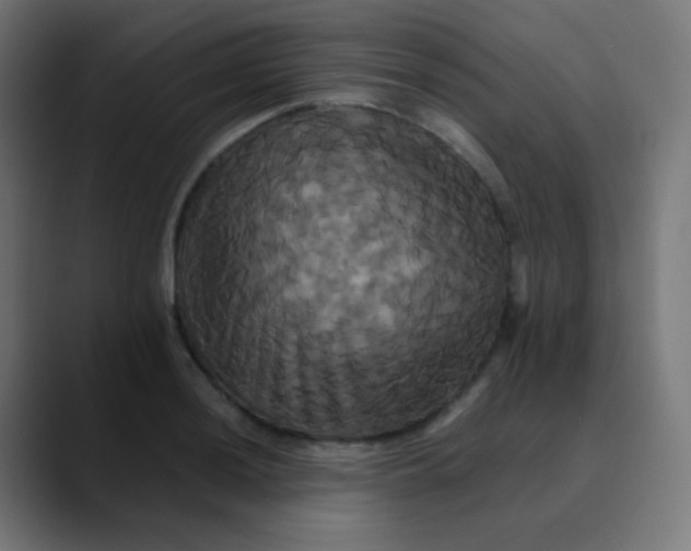 X0000089731036200707121445