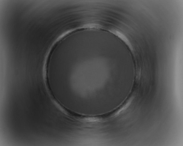 X0000089731037200707121445