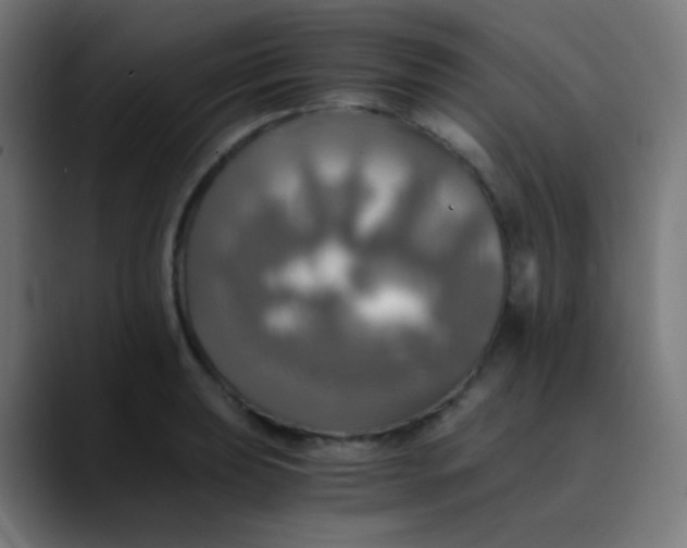 X0000089731039200707121445