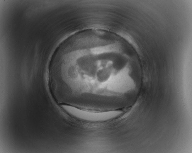 X0000089731040200707121445