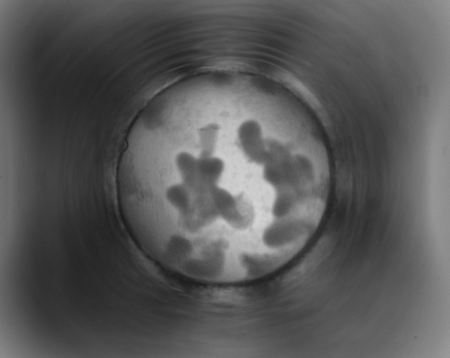 X0000089731041200707121445
