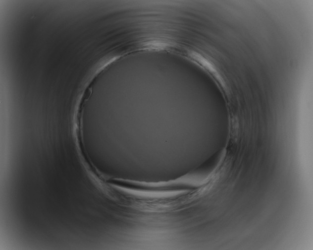 X0000089731042200707121445