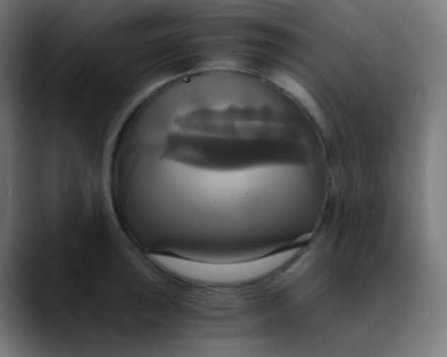 X0000089731043200707121445