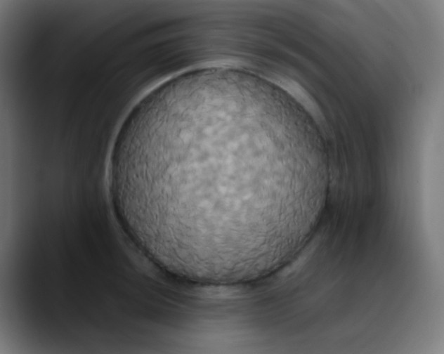 X0000089731044200707121445