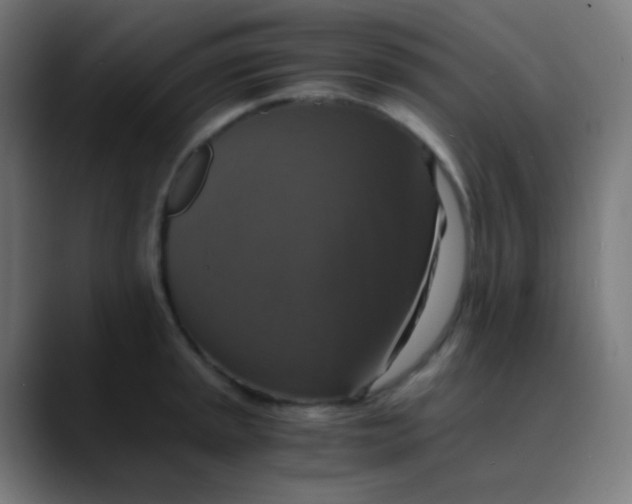 X0000089731045200707121445