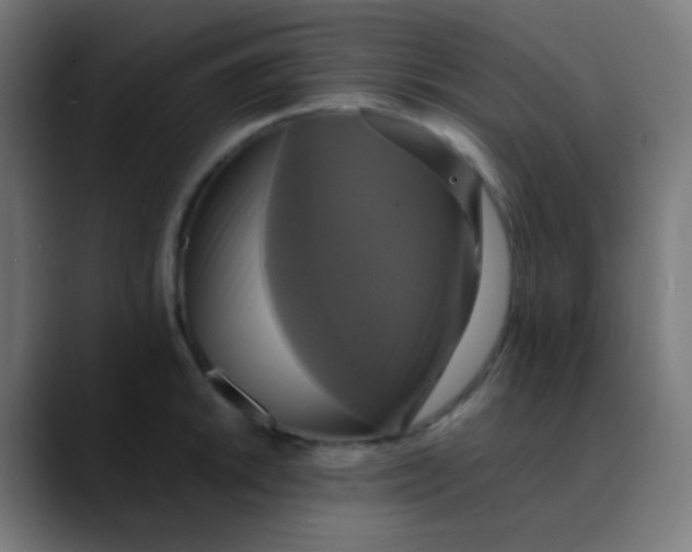 X0000089731046200707121445