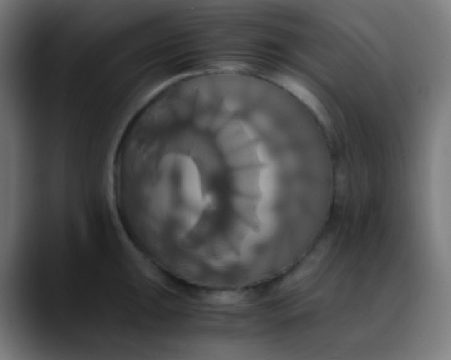 X0000089731047200707121445