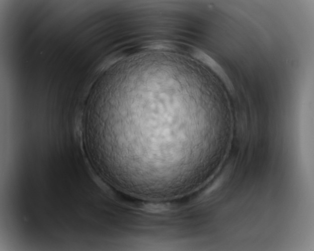 X0000089731049200707121445