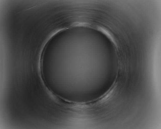 X0000089731050200707121445