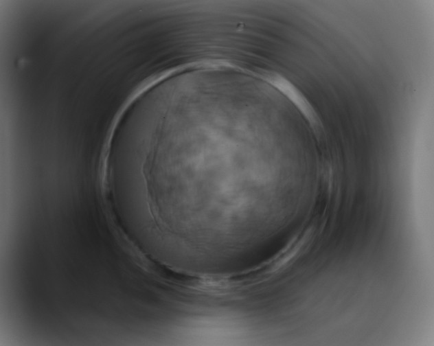 X0000089731052200707121445