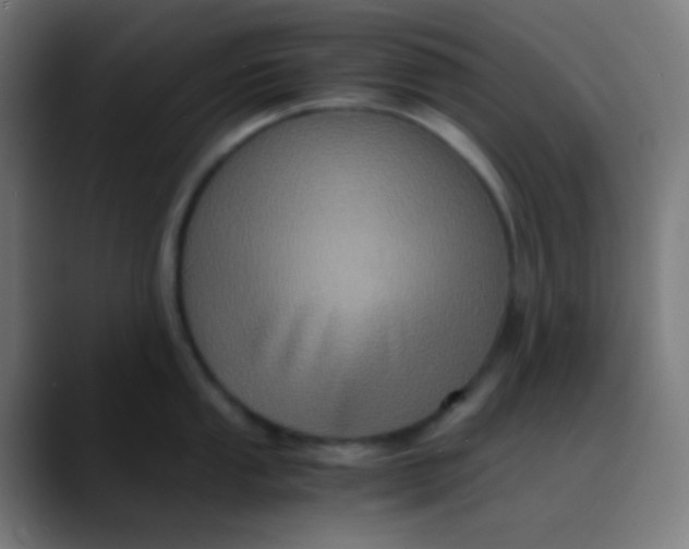 X0000089731053200707121445